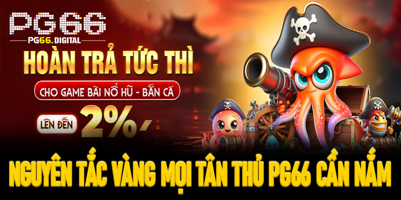 Nguyên tắc vàng mọi tân thủ PG66 cần nắm