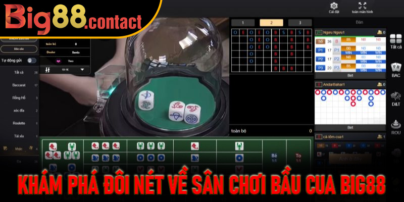 Khám phá đôi nét về sân chơi Bầu Cua Big88