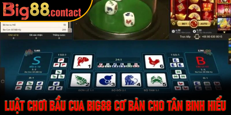 Luật Chơi Bầu Cua Big88 Cơ Bản cho tân binh hiểu